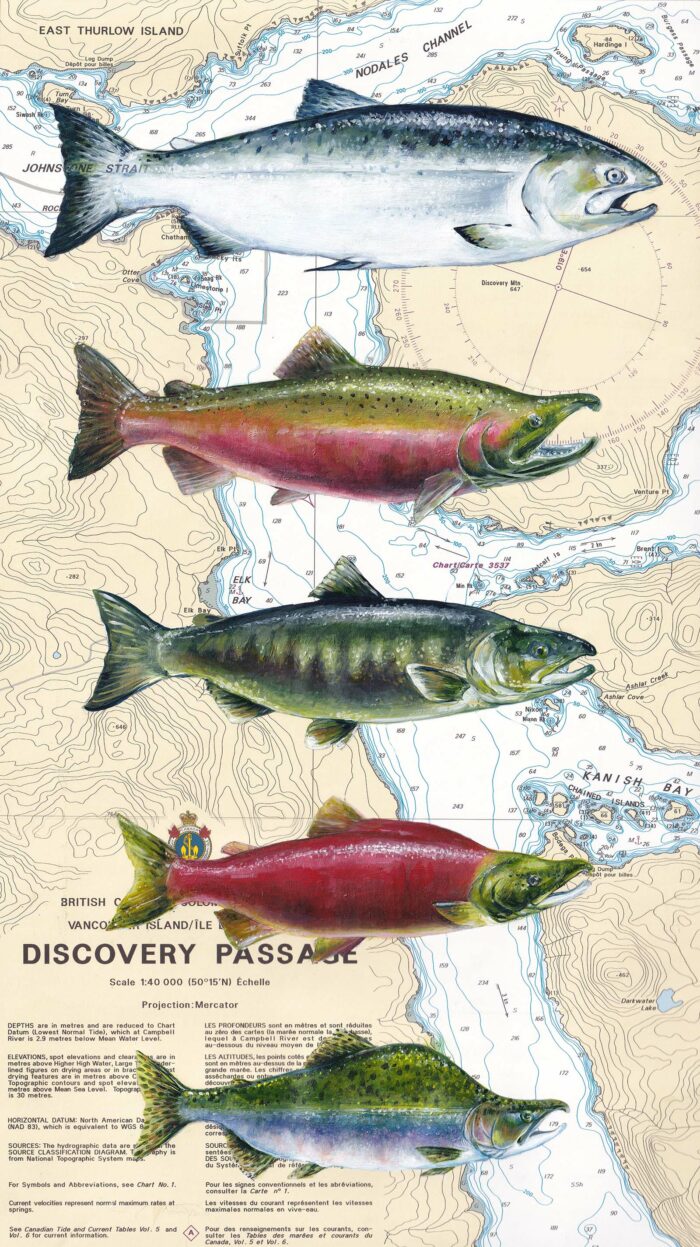Squamish Arts Monika Loevenmark Salmon