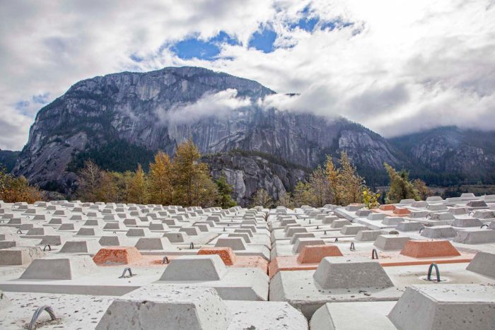 squamish arts thomasina pidgeon