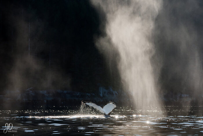Squamish Arts Jenn Dickie2