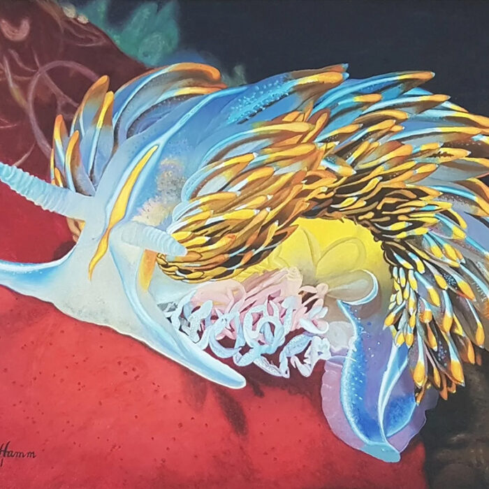 Squamish Arts Charis Hamm 800x800