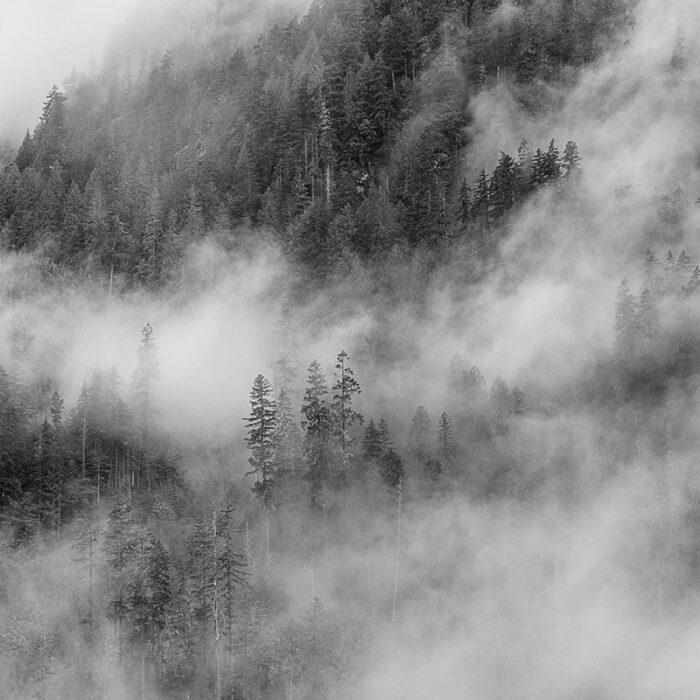 Squamish Arts Matthew Sipple 800x800