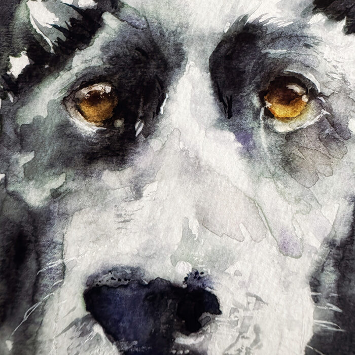 Squamish Arts Linda Olmstead 800x800
