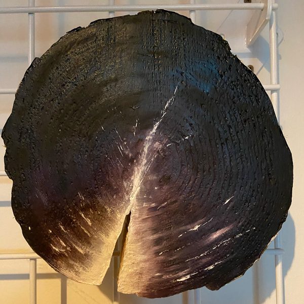 Squamish Arts AAS 94