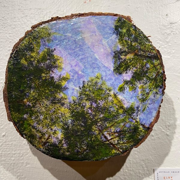 Squamish Arts AAS25 16