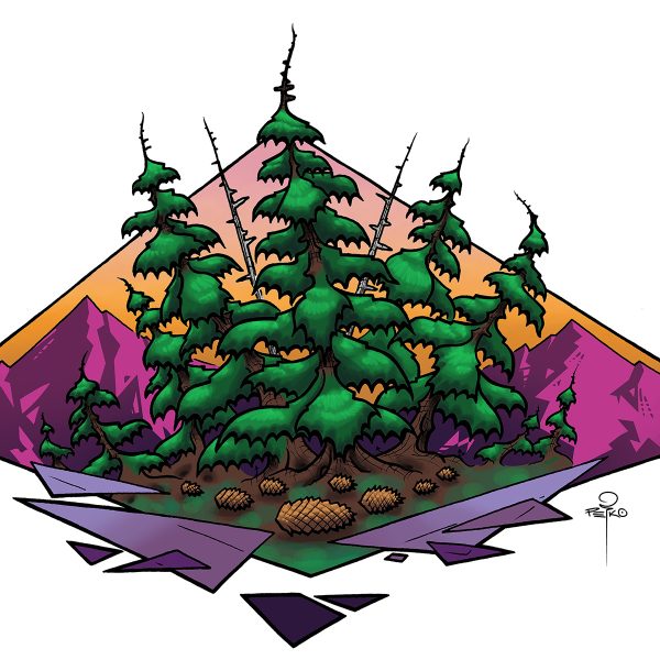 Squamish Arts Dave Petko