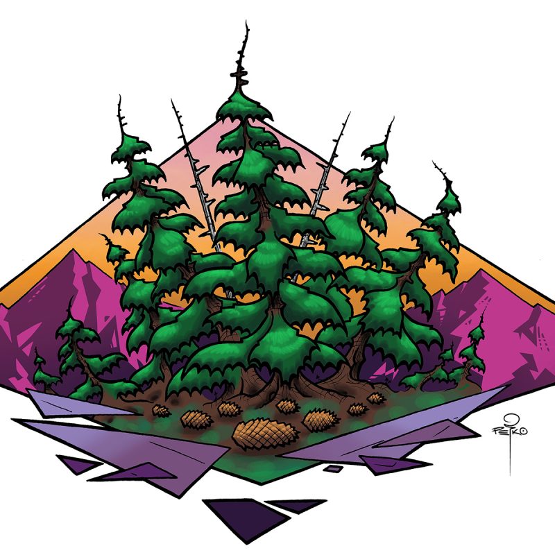 Squamish Arts Dave Petko