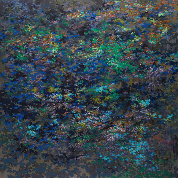 Squamish Arts Steve Baylis Particular Demonstration